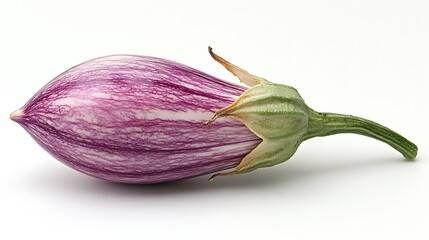 Fresh eggplant harvest farm food photography natural setting