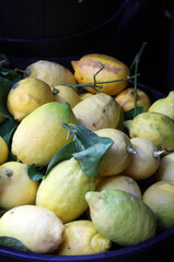 Macro image of Lemons on a market stall, London England
