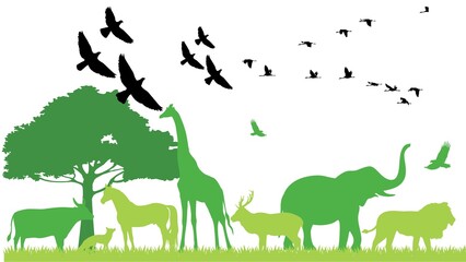 Wildlife graphics art in wonderland 