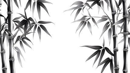 Black and White Bamboo Illustration with Leaves
