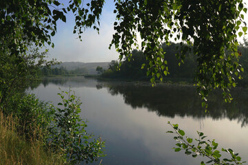 From under the gentle hanging branches of a birch tree one can see the shore shrouded in morning fog. the mirror surface of the water reflects the lush greenery of the trees 