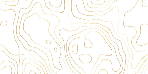Abstract design seamless pattern with line topographic map. geographic mountain relief. retro topographic map. geographic contour map grid backdrop paper texture. terrain path isolated on background.	
