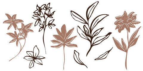 Minimalistic vector botanical illustration. hand drawn flowers and leaves in mocha and brawn outlines. line art and silhouettes, emphasizing natural, organic beauty in a modern style
