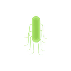 Salmonella Typhi illustration