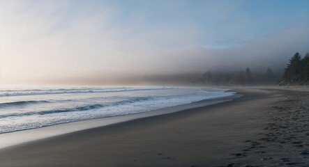 Obraz premium Peaceful beach with soft waves and morning mist creating an ethereal scene