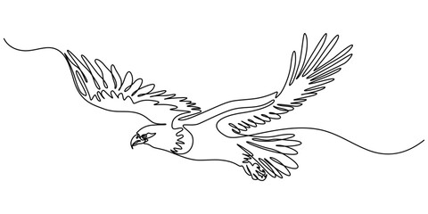An eagle soars in the sky with its wings spread wide. A large bird of prey flies in the air. one continuous line, One single line of eagle isolated on white background, Bird of prey flying continuouse