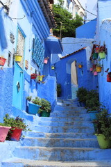 Magnifique escalier et impasse bleue avec des pots de fleurs colorés au mur dans la ville de Chefchaouen au Maroc