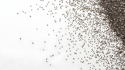 Obraz premium Chia Seeds Scattered On A White Background