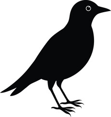 Silhouette vector of a bird