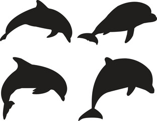 Dolphin set silhouette design