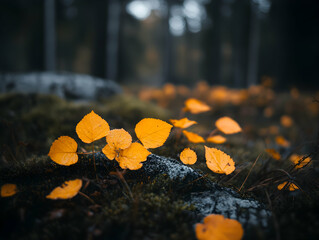 Serene autumnal scene featuring vibrant yellow leaves fallen on mossy ground, dark forest background.