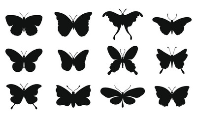 Fototapeta premium Butterfly swarm silhouette background butterfly sheltie design 