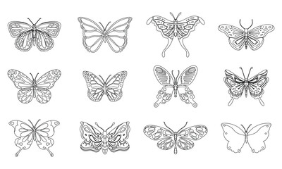 Linear flat butterfly outline collection design 