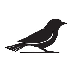 crow on a branch