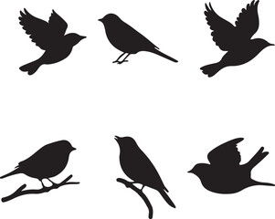 A vector silhouette image of a black   bird  icons set with  a white background