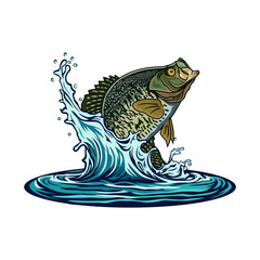 crappie fishing illustration logo vector image t shirt