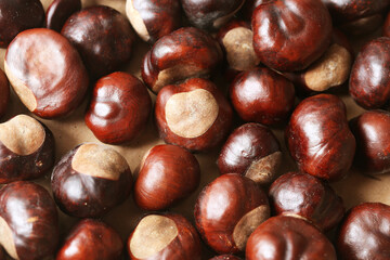 Chestnut texture on a brown background. Shiny autumn chestnuts symbolizing fall. Warm seasonal backdrop. Natural harvest decoration. Forest inspired autumn theme. Shiny wooden look tree fruit.