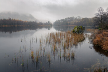 Misty moody autumn morning with colorfull trees and mountain reflecting in a lake, Loch Trool, Scotland