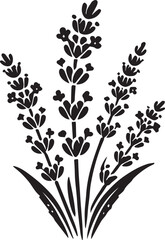 Silhouettes of plants