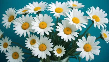 Fototapeta premium Un ramo de flores de margaritas blancas sobre un fondo azul verdoso