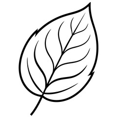 Clean Leaf Illustration Vector