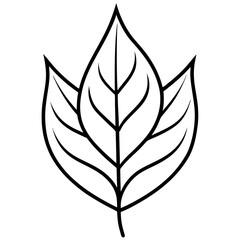 Clean Leaf Illustration Vector