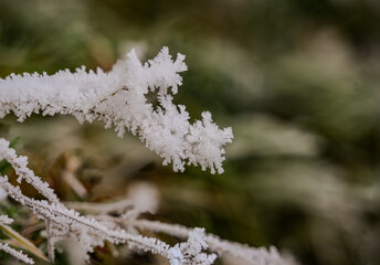 Ein frostiger Tag auf dem Bogenberg