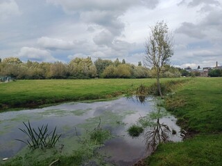 Sky reflection in a pond in Cambridge Park photographed in September 2024. 