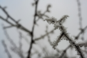 Ein frostiger Tag auf dem Bogenberg