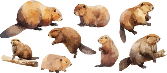 beaver watercolor clipart © dian's