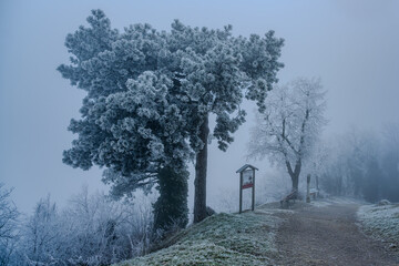 Ein frostiger Tag auf dem Bogenberg