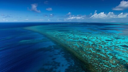 Coral reefs are vibrant, diverse underwater ecosystems that support a wide range of marine life. Composed primarily of calcium carbonate structures built by coral polyps, these reefs are often referre
