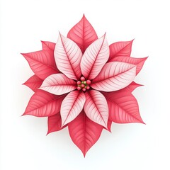 Obraz premium A vibrant poinsettia flower with rich red and white leaves, symbolizing beauty and holiday spirit.