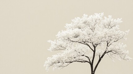 Serene Minimalist White Blossoms Tree Art Print