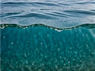 Gordijnen Acqua © Alessandro