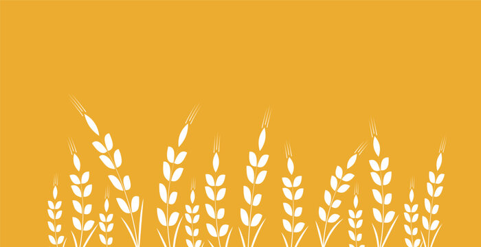Minimalist wheat icon set. Simple barley, weat, rice logo vector illustration. Wheat vector isolated on white background. Farm and Bakery Symbol