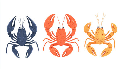 Colorful crab illustrations showcasing different species and their features. 