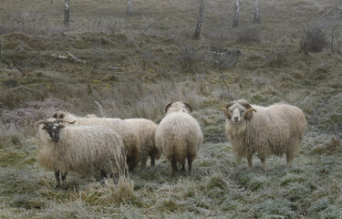 winterwanderung