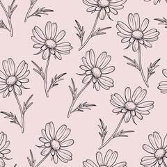 Seamless pattern of contour isolated branches daisy flowers drawn by hand on a pink background. Repeating pattern.