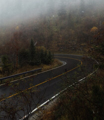 fog in the mountains and road