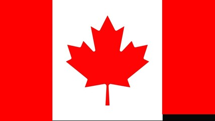 Canadian Flag Transition. Animated national flag of Canada. A Canadian flag that appears and disappears.
