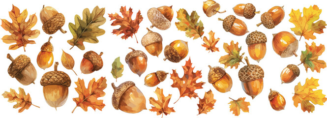 acorn watercolor clipart © dian's