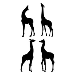 Giraffe silhouette set on white background.