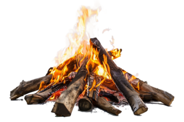 Bright and intense campfire flames in a woodland setting isolated on transparent background