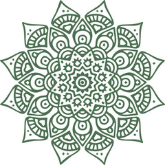 Beautiful flower art and mandala vector design