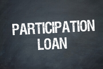 Participation Loan	
