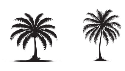 palm tree silhouette vector illustration design black and white art