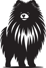 Cute silhouette of a small dog