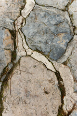Abstract portrait of stone path textured background. Perfect for nature themed projects.