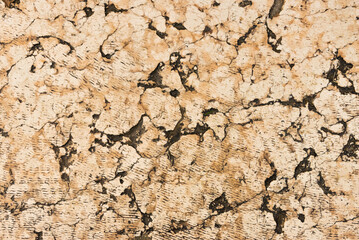 Cracked texture. Top view. Road background
